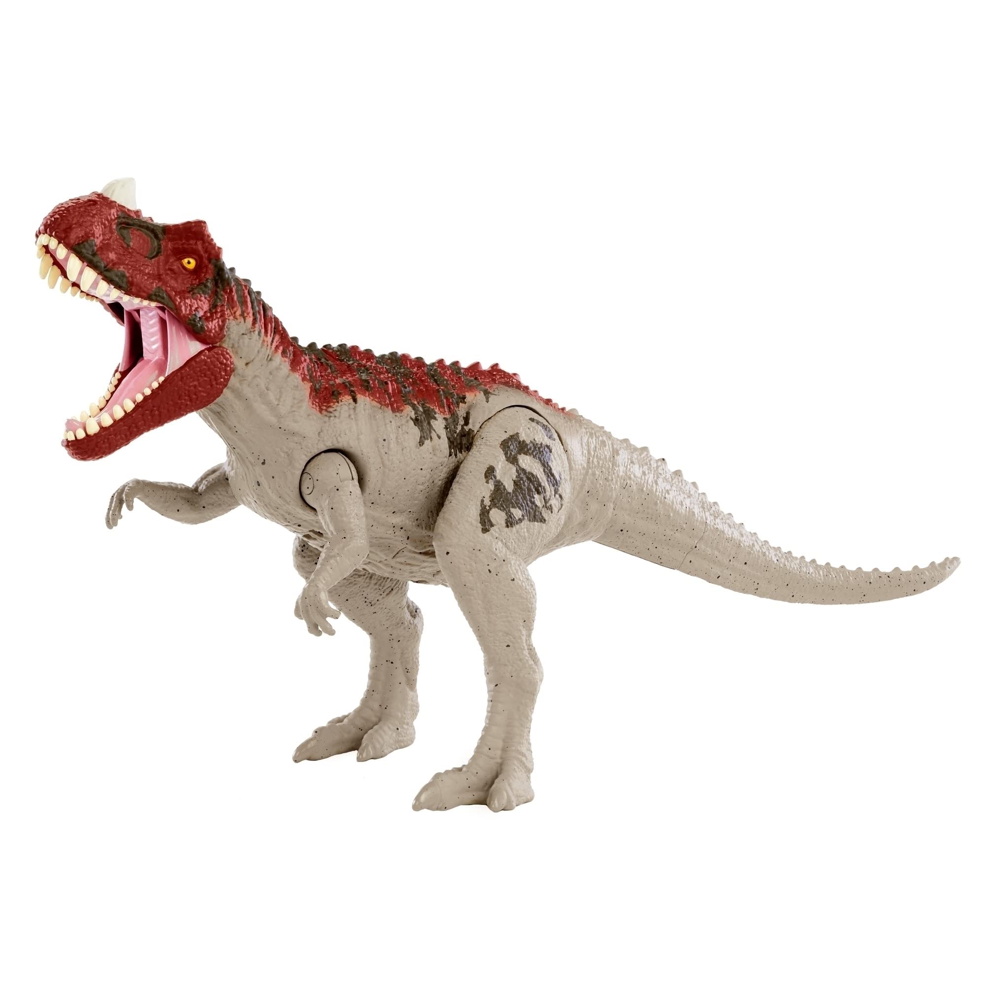 MATTEL S.r.l. Dino Sound Jurassic World A2101344 : Amazon.com.be: Toys